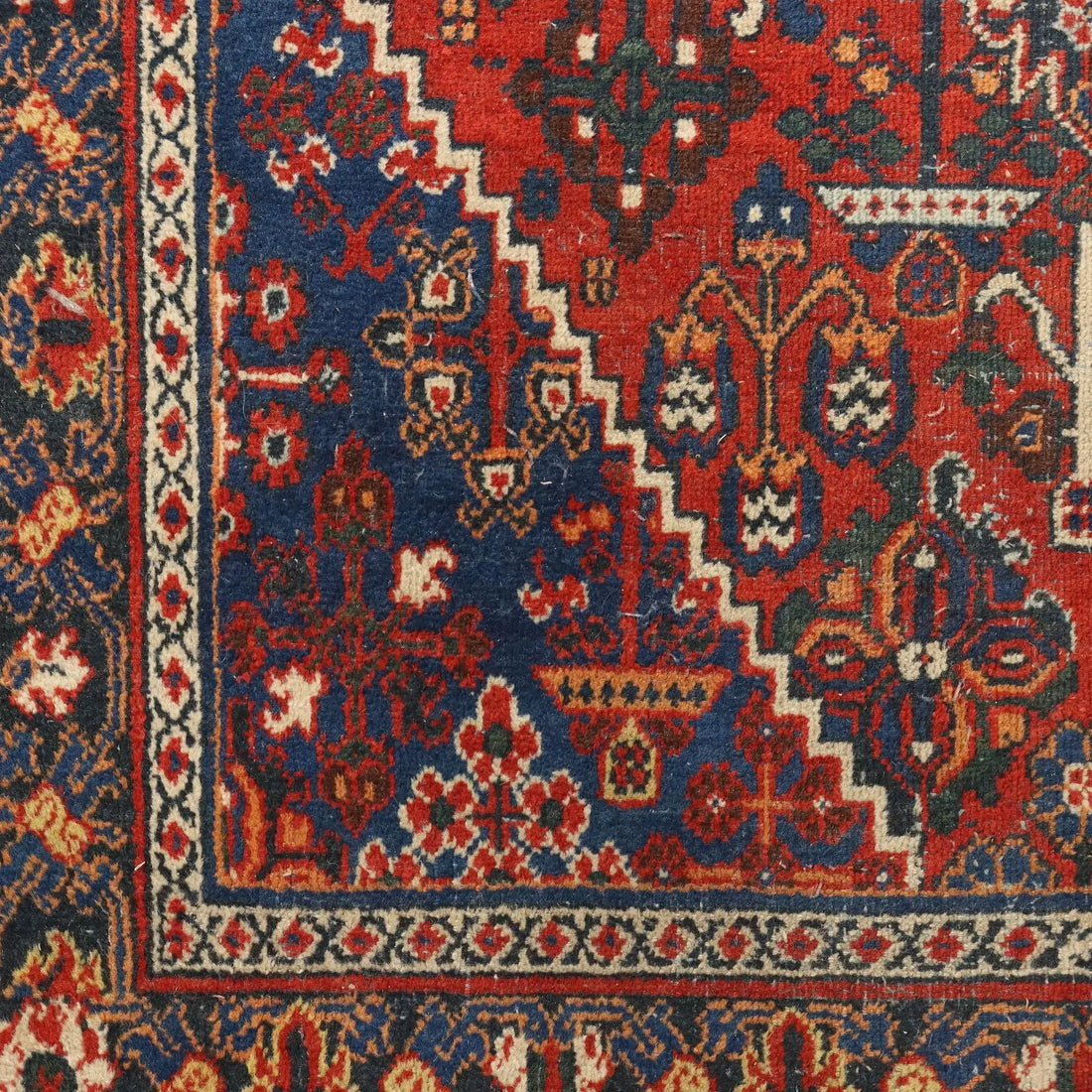 Joshagan Rug in Cotton and Wool - 