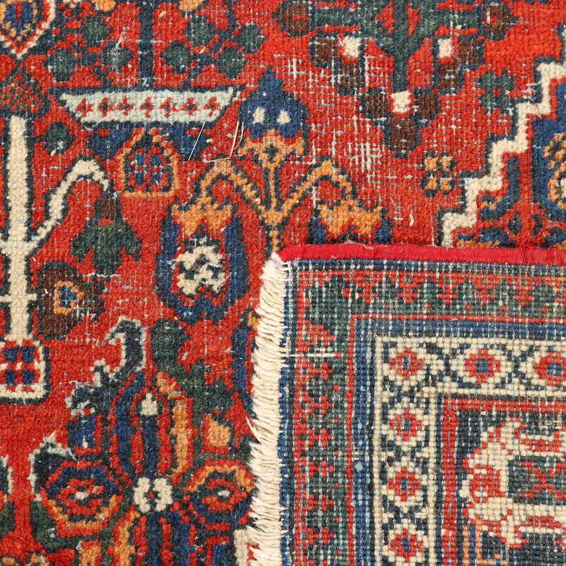 Joshagan Rug in Cotton and Wool - 
