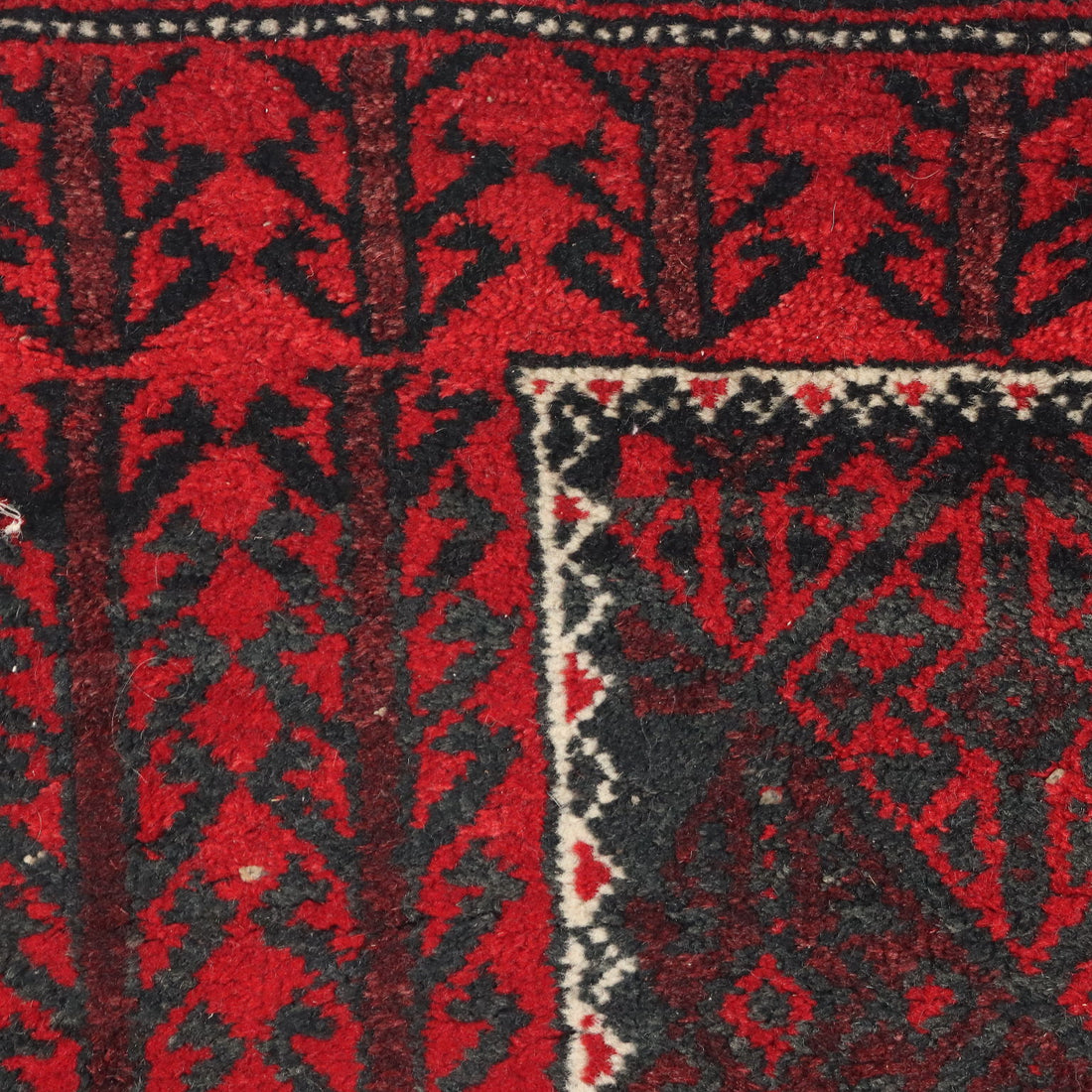  | Antiques  Carpets