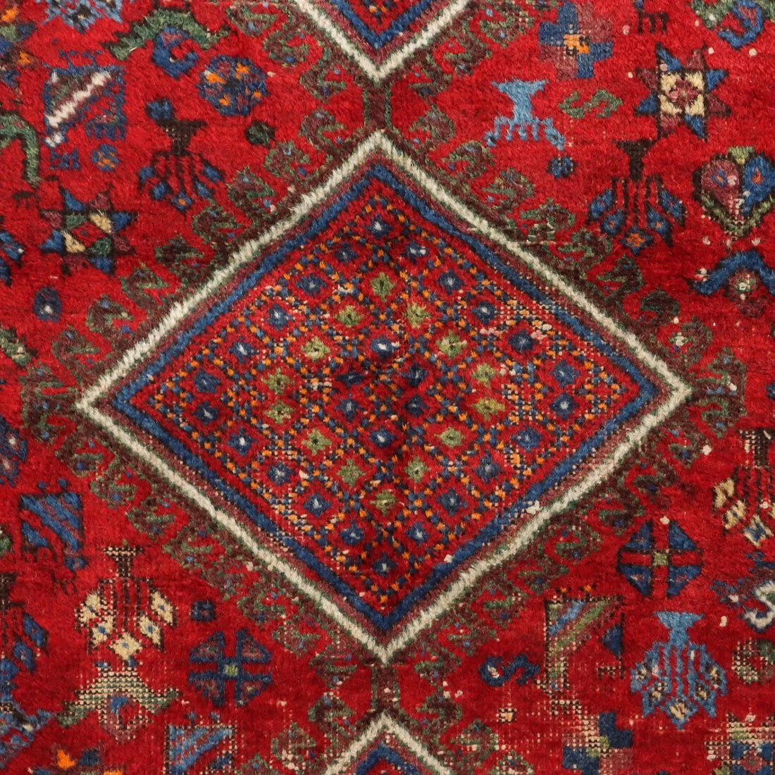 Afshar Rug in Wool - , 190 x 140 cm
