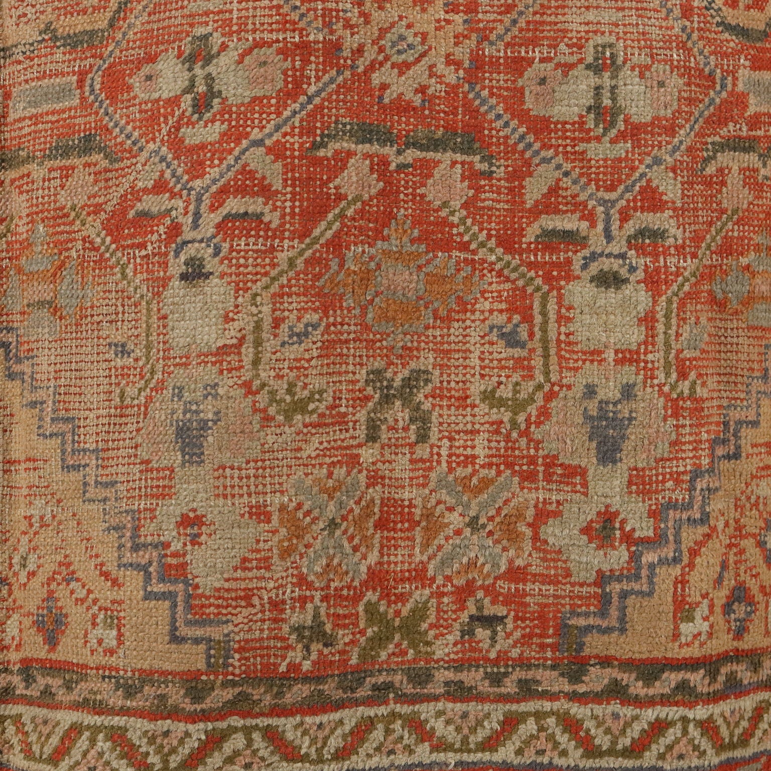  | Antiques  Carpets