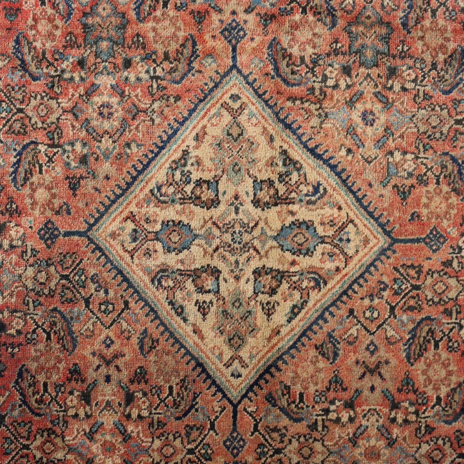  | Antiques  Carpets