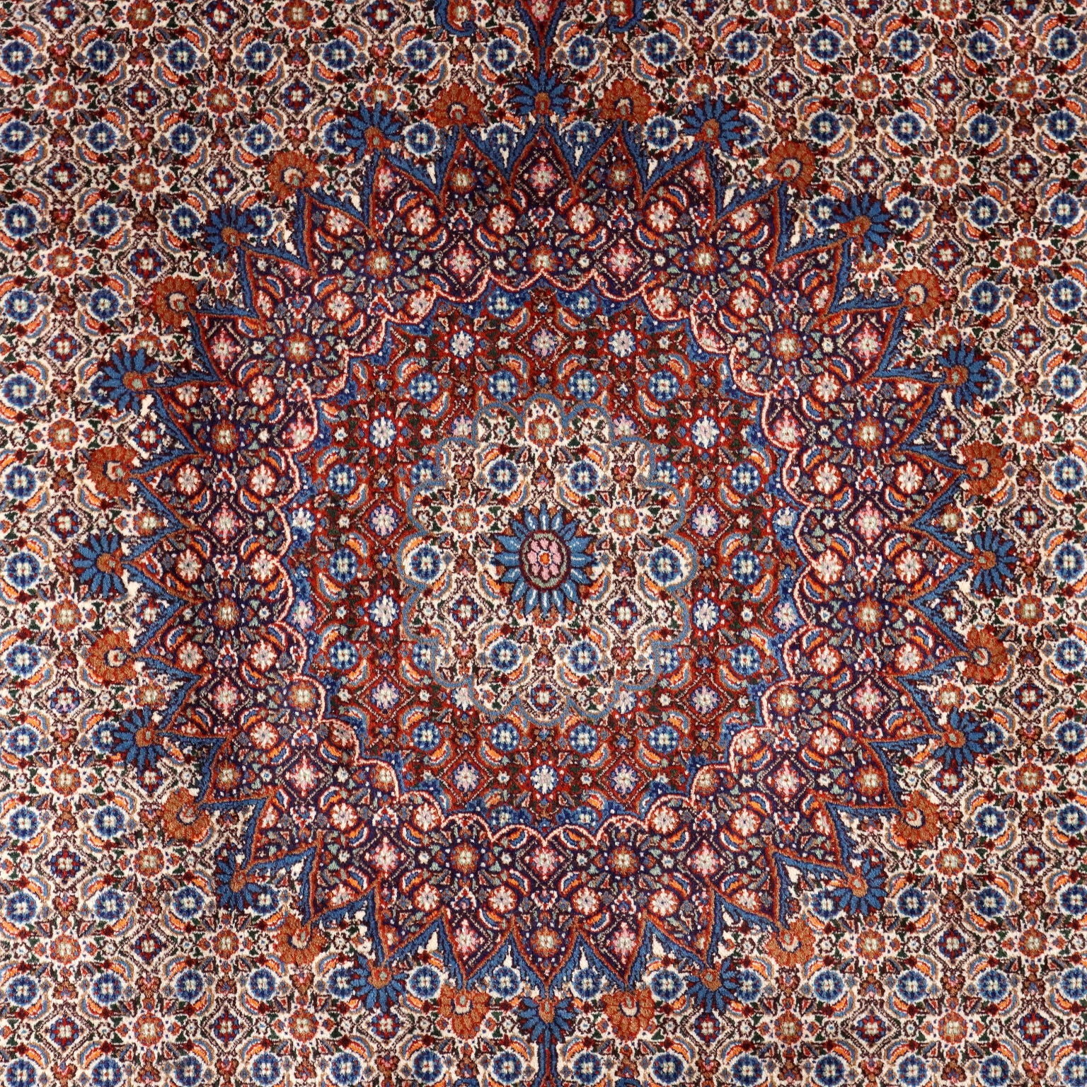  | Antiques  Carpets
