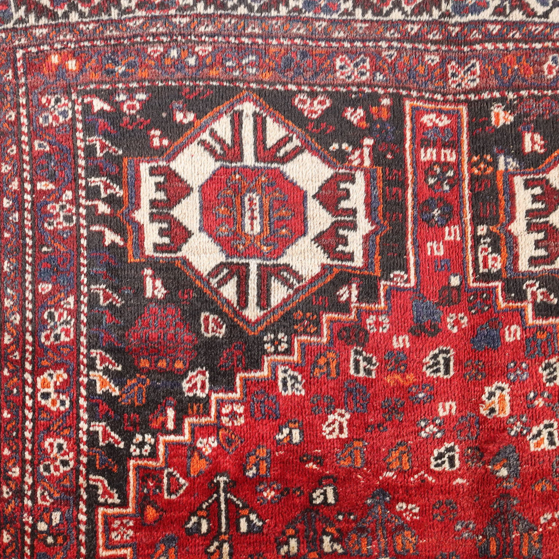  | Antiques  Carpets