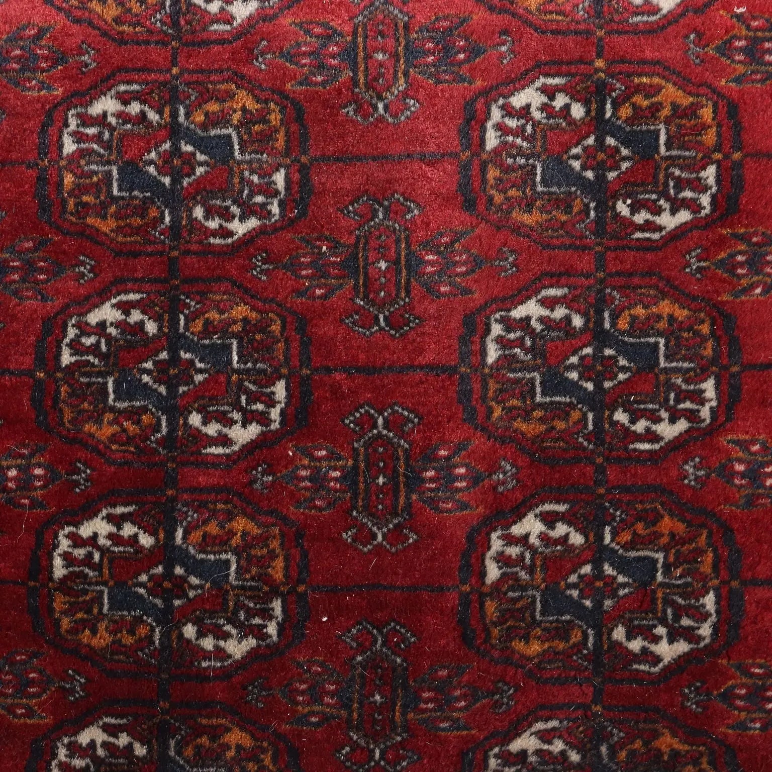 Bukhara Rug in Cotton and Wool - 290x190 cm