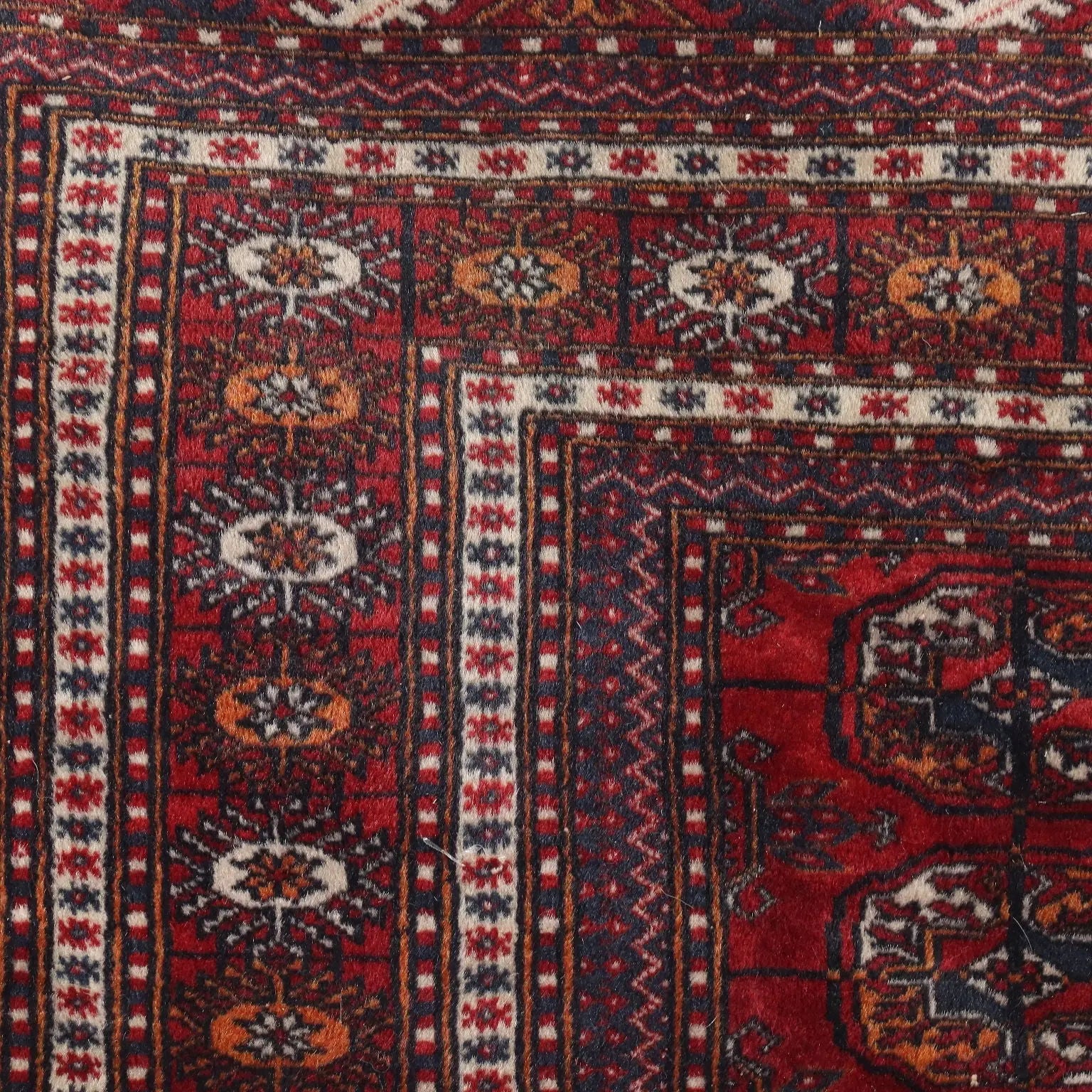 Bukhara Rug in Cotton and Wool - 290x190 cm