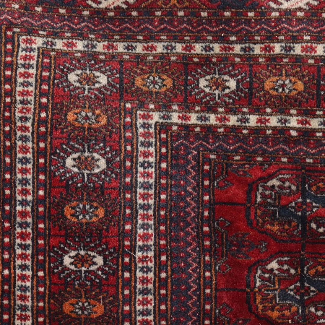 Bukhara Rug in Cotton and Wool - 290x190 cm