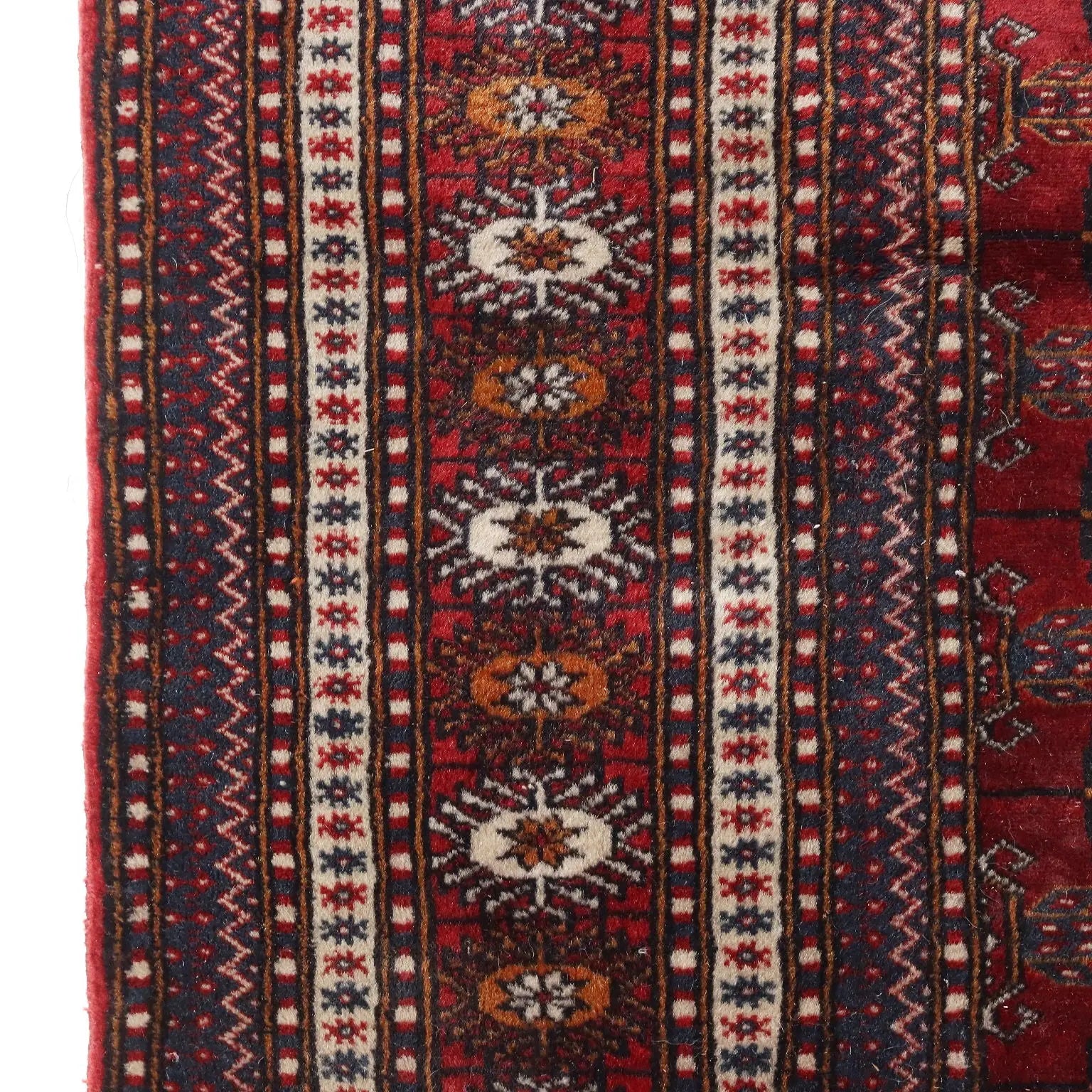 Bukhara Rug in Cotton and Wool - 290x190 cm