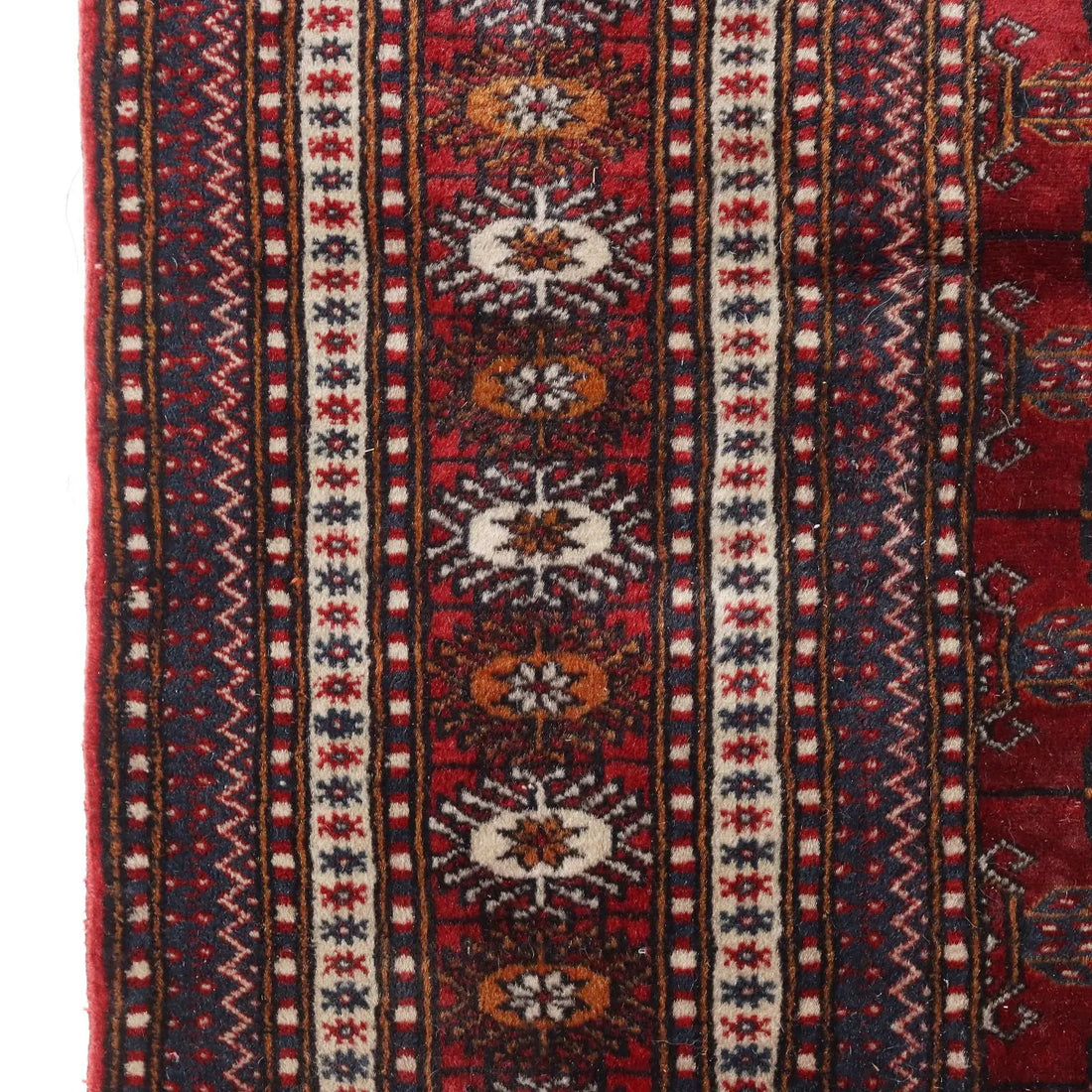 Bukhara Rug in Cotton and Wool - 290x190 cm