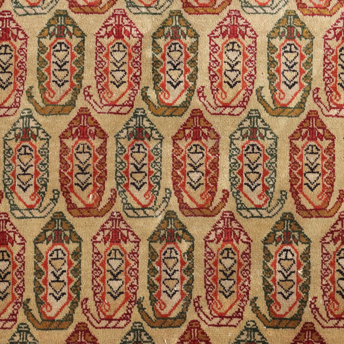 Shirvan Rug in Cotton and Wool - Russia