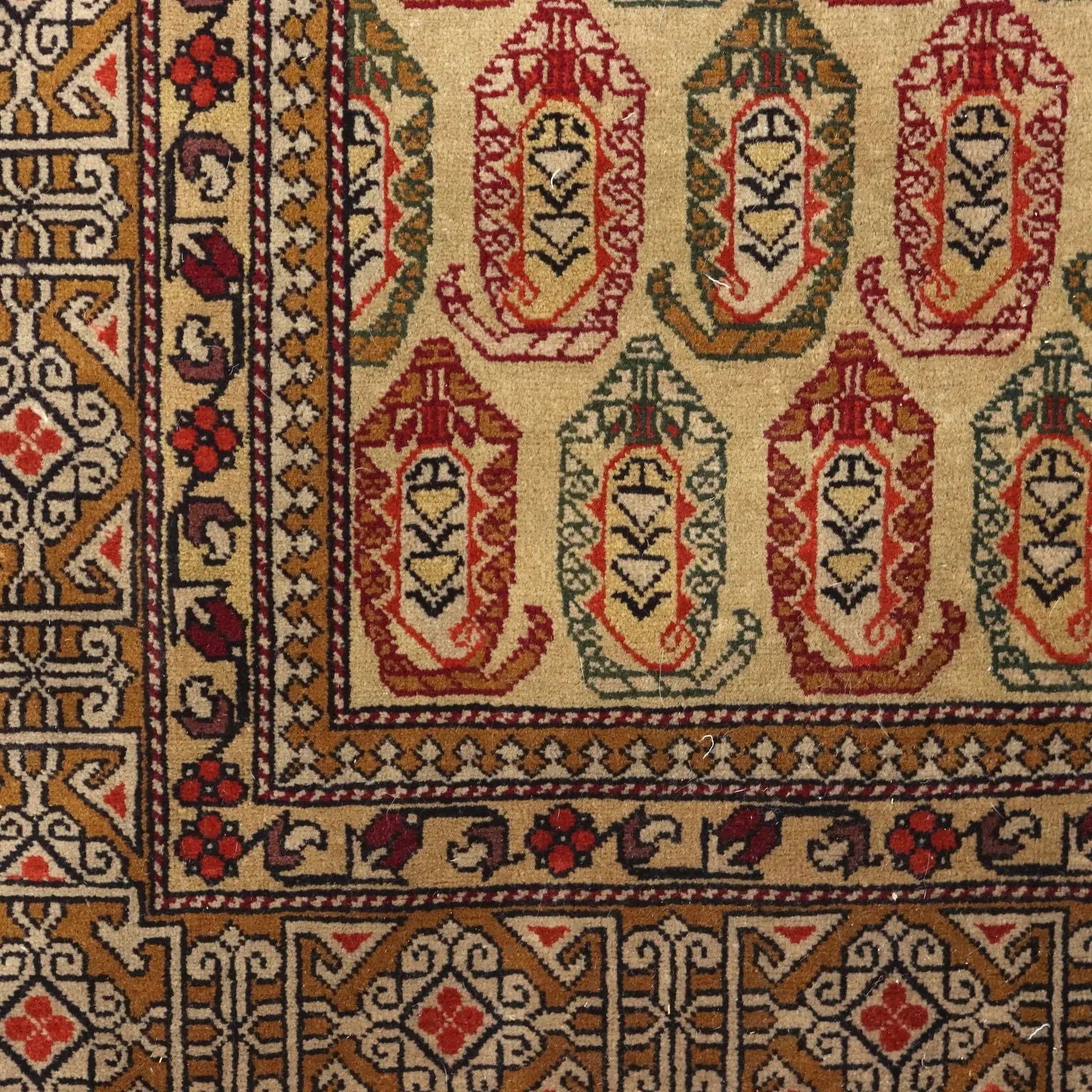 Shirvan Rug in Cotton and Wool - Russia
