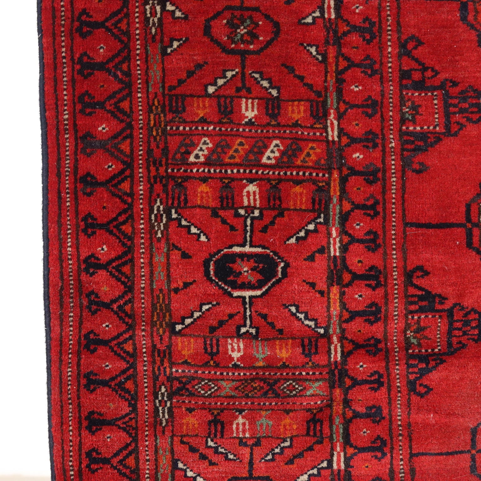  | Antiques  Carpets