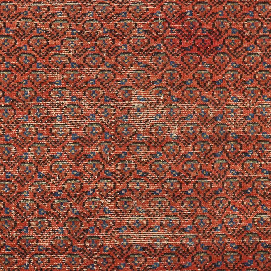  | Antiques  Carpets