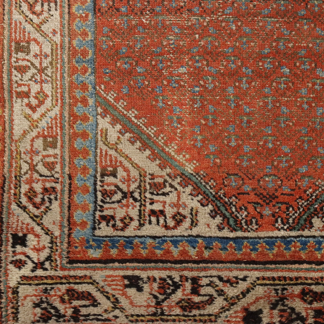  | Antiques  Carpets