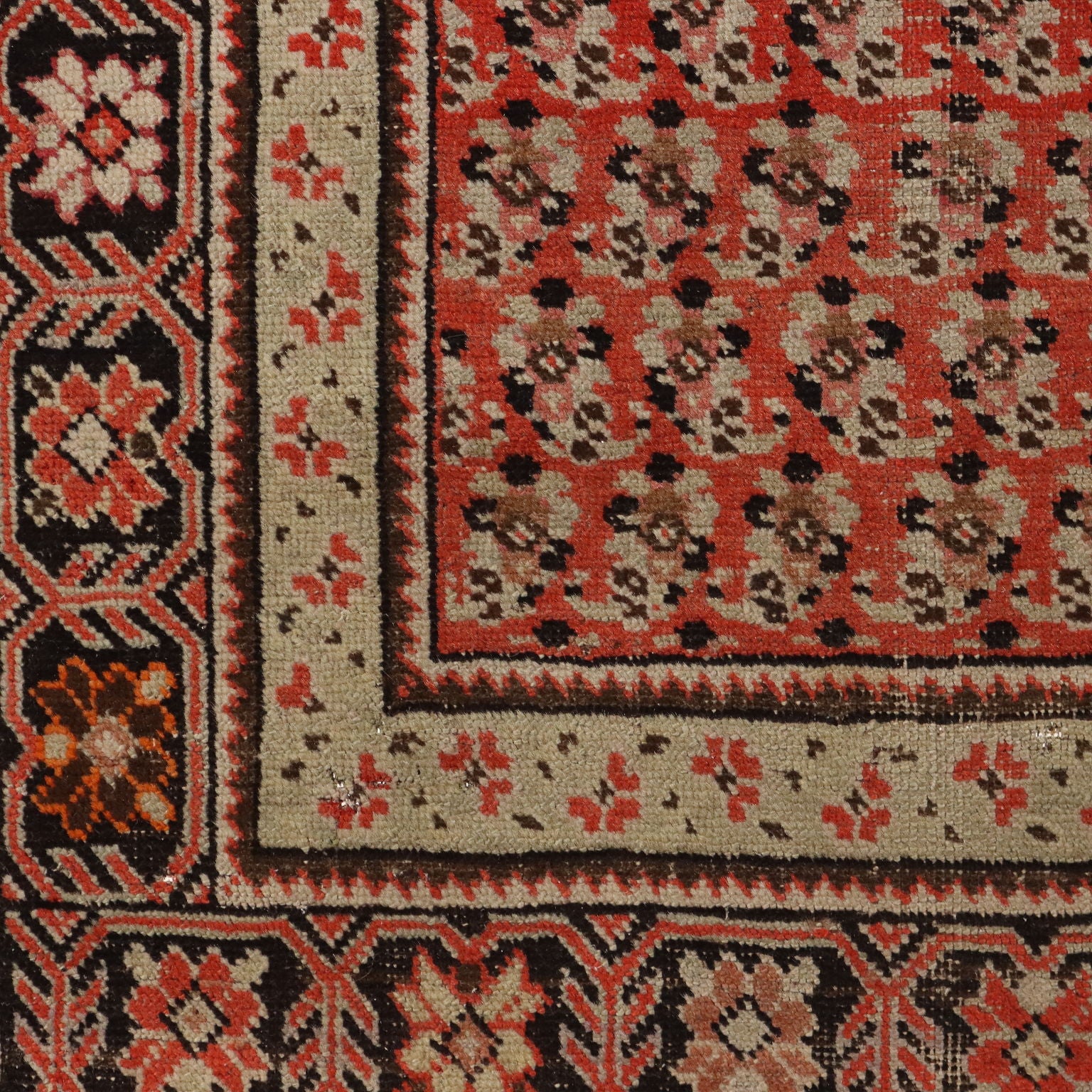  | Antiques  Carpets