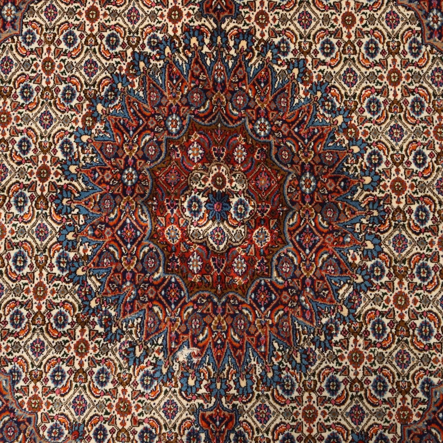 Antique Asian Carpet Cotton Wool Heavy Knot 81 x 59 In - 81 x 59 In | Antiques | Carpets