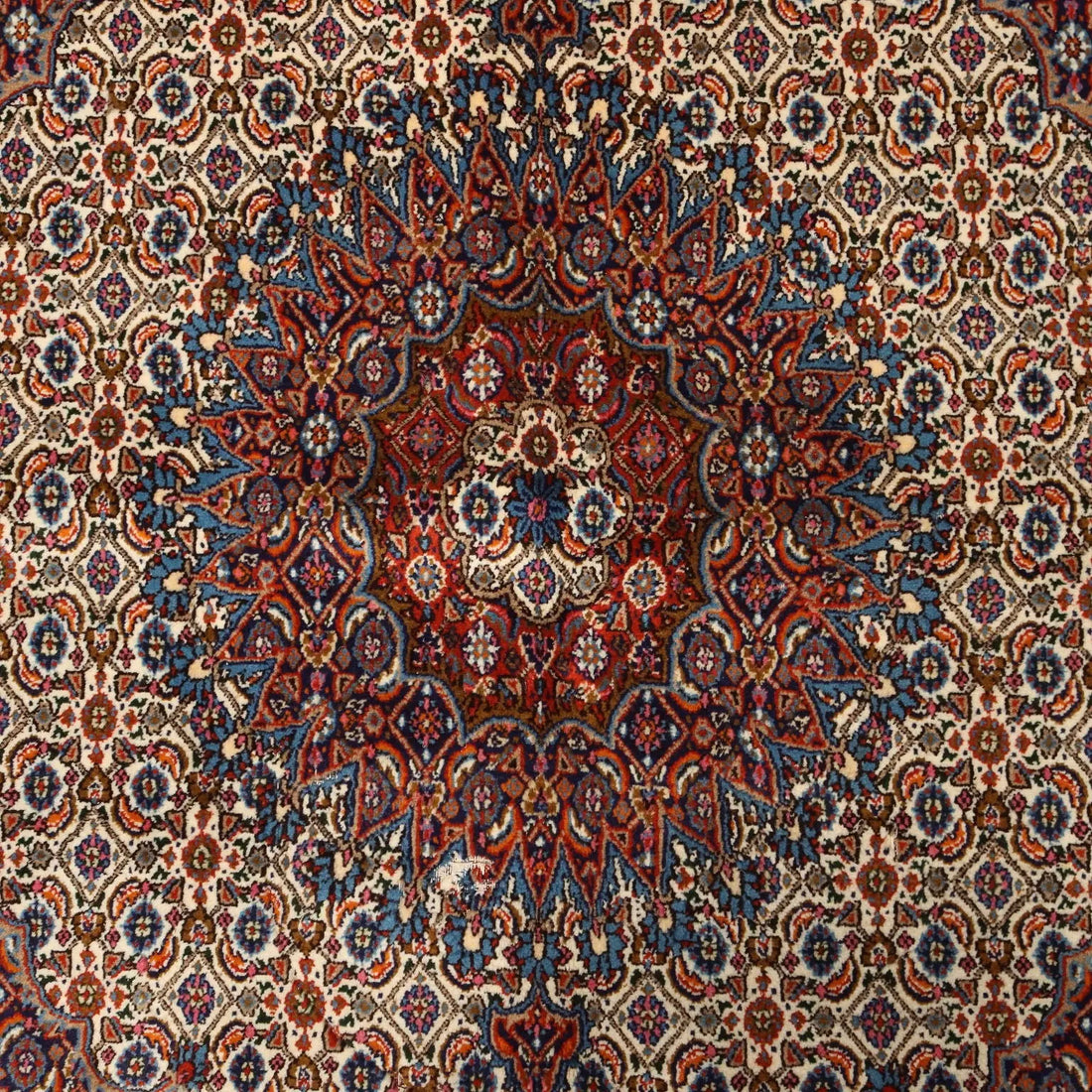 Antique Asian Carpet Cotton Wool Heavy Knot 81 x 59 In - 81 x 59 In | Antiques | Carpets