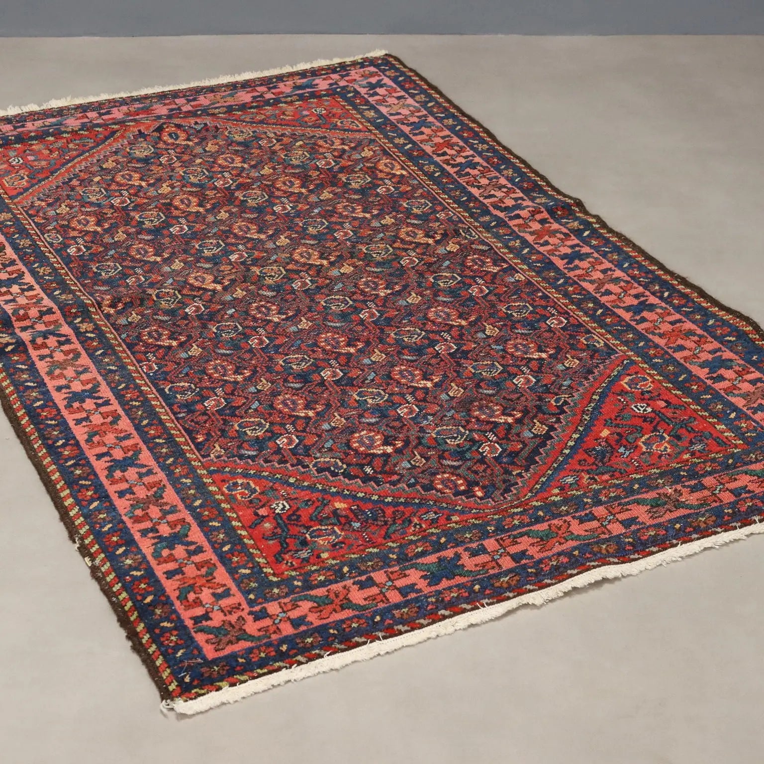 Antique Asian Carpet Cotton Wool Heavy Knot 59 x 40 In - 59 x 40 In | Antiques | Carpets