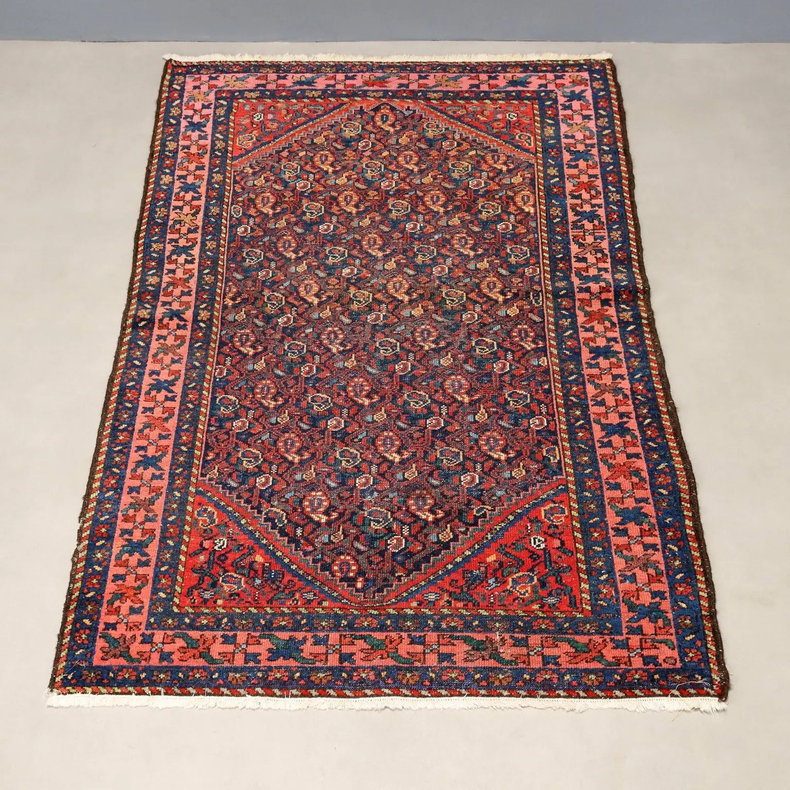 Antique Asian Carpet Cotton Wool Heavy Knot 59 x 40 In - 59 x 40 In | Antiques | Carpets