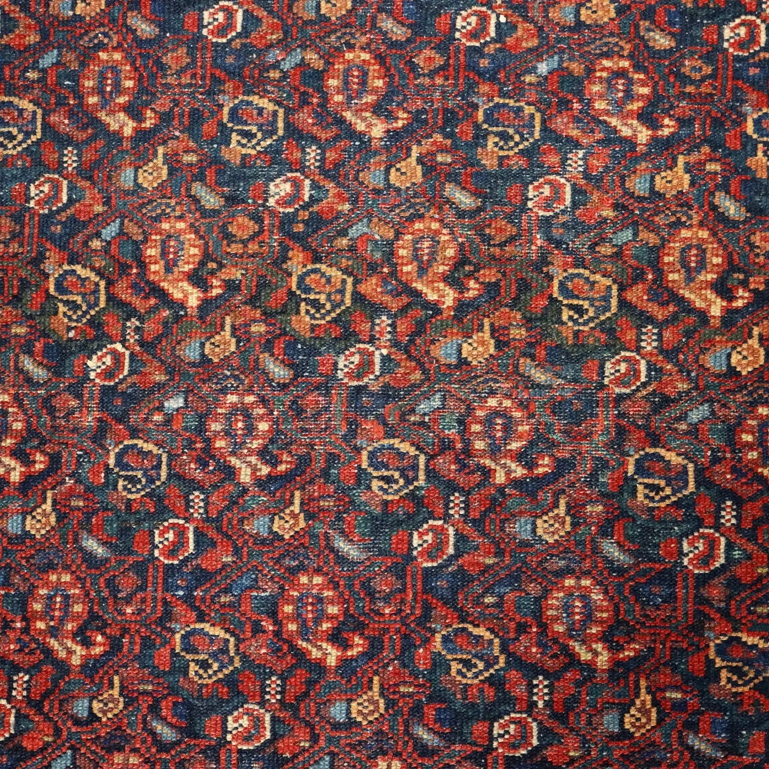 Antique Asian Carpet Cotton Wool Heavy Knot 59 x 40 In - 59 x 40 In | Antiques | Carpets