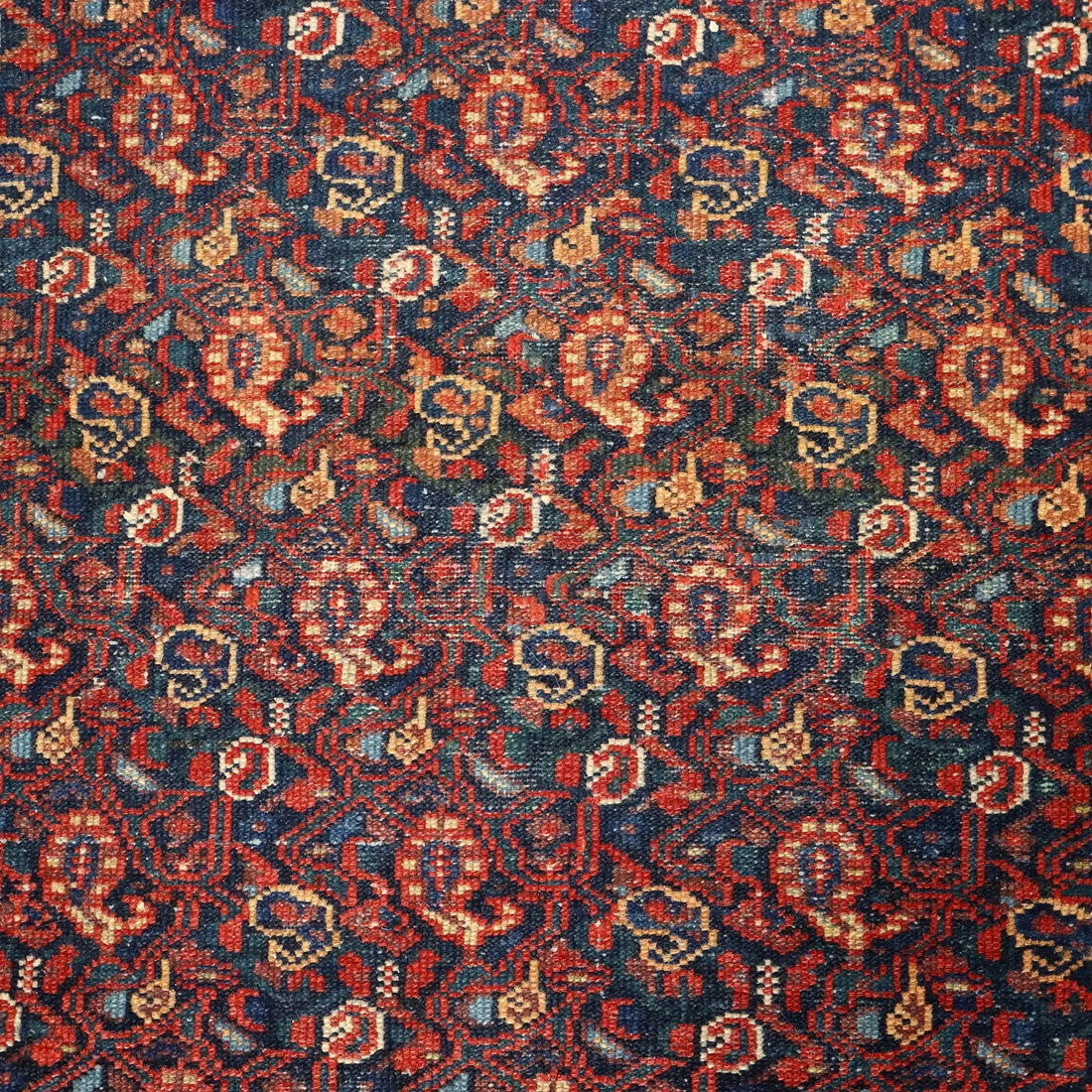 Antique Asian Carpet Cotton Wool Heavy Knot 59 x 40 In - 59 x 40 In | Antiques | Carpets