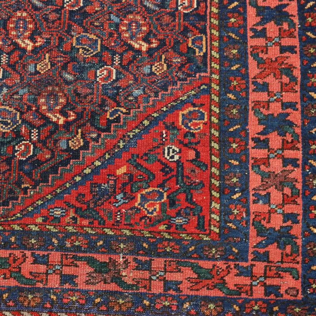 Antique Asian Carpet Cotton Wool Heavy Knot 59 x 40 In - 59 x 40 In | Antiques | Carpets