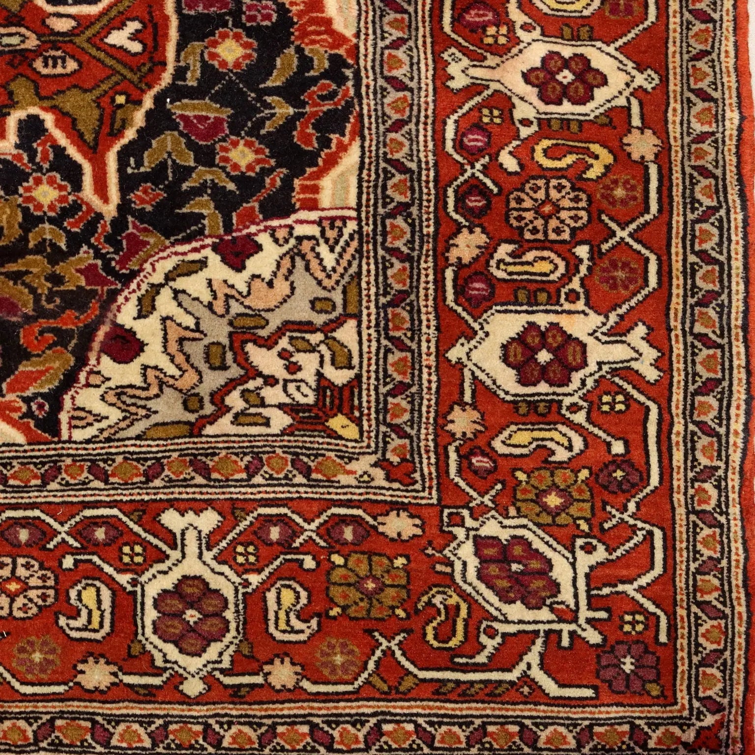 Antique Asian Carpet Cotton Wool Silk Thin Knot 75 x 52 In - 75 x 52 In | Antiques | Carpets