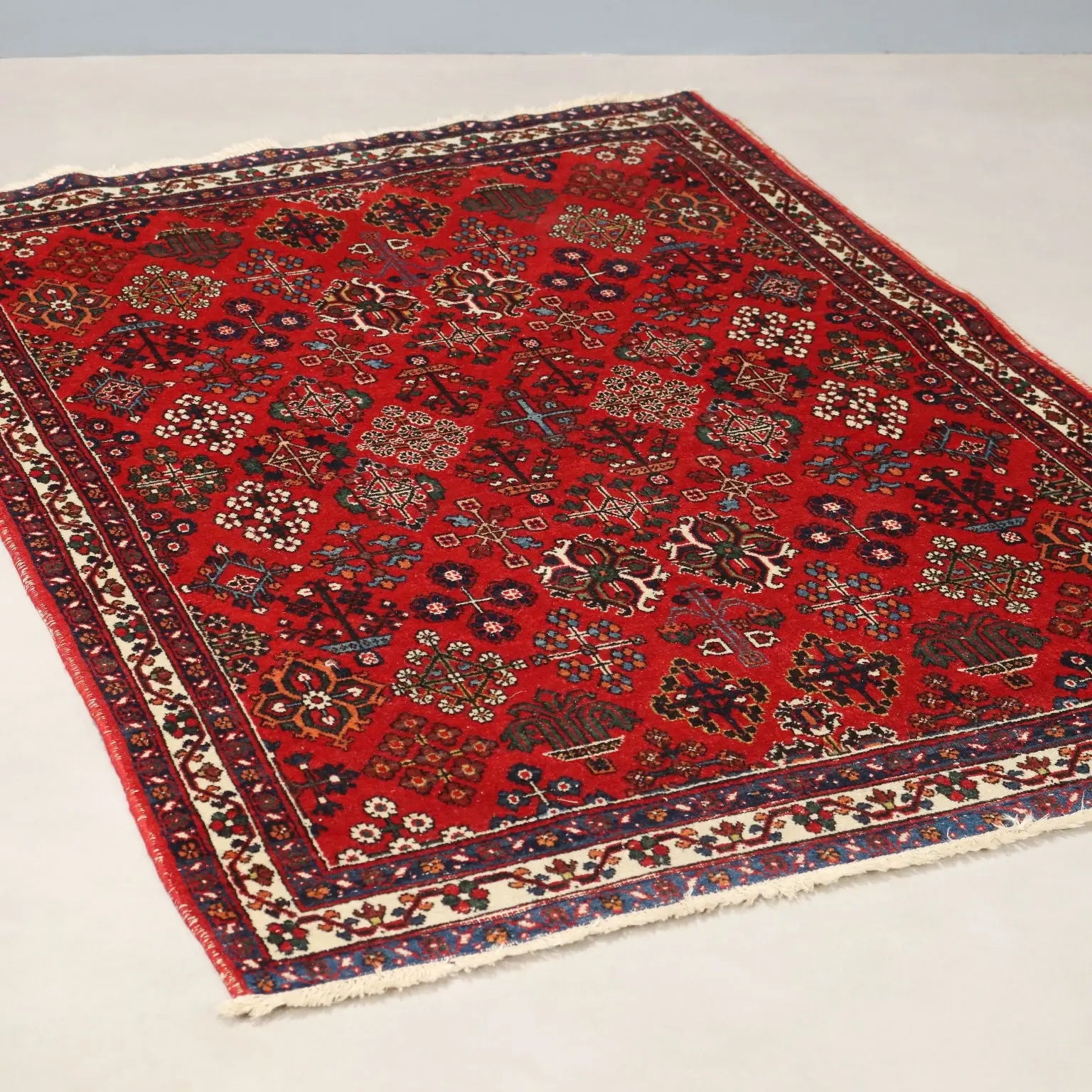 Antique Asian Carpet Cotton Wool Thin Knot 59 x 42 In - 59 x 42 In | Antiques | Carpets