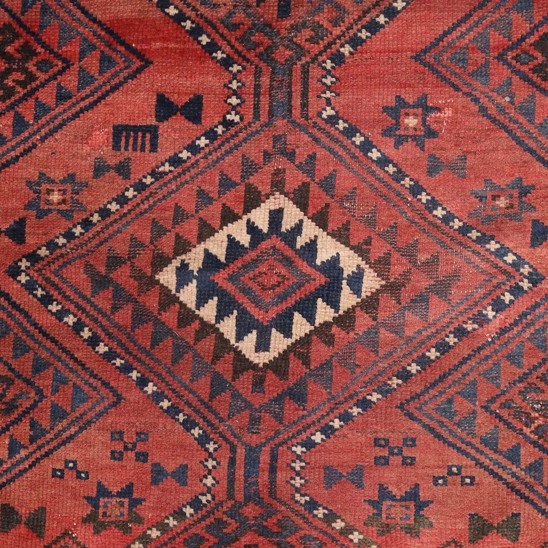  Shiraz Wool Rug - 240 x 167 cm