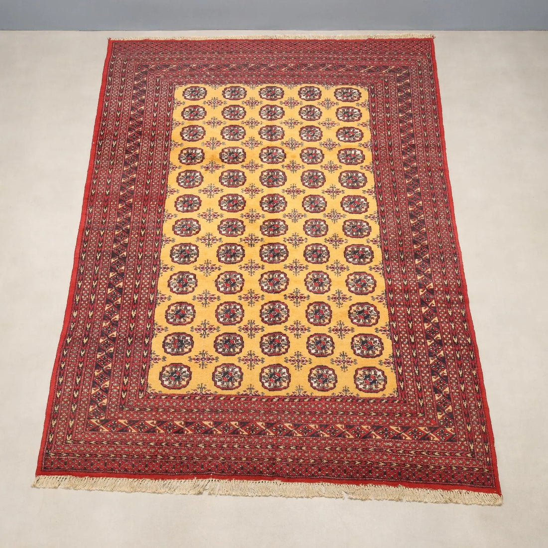 Bukhara Rug in Cotton and Wool - 280 x 187 cm