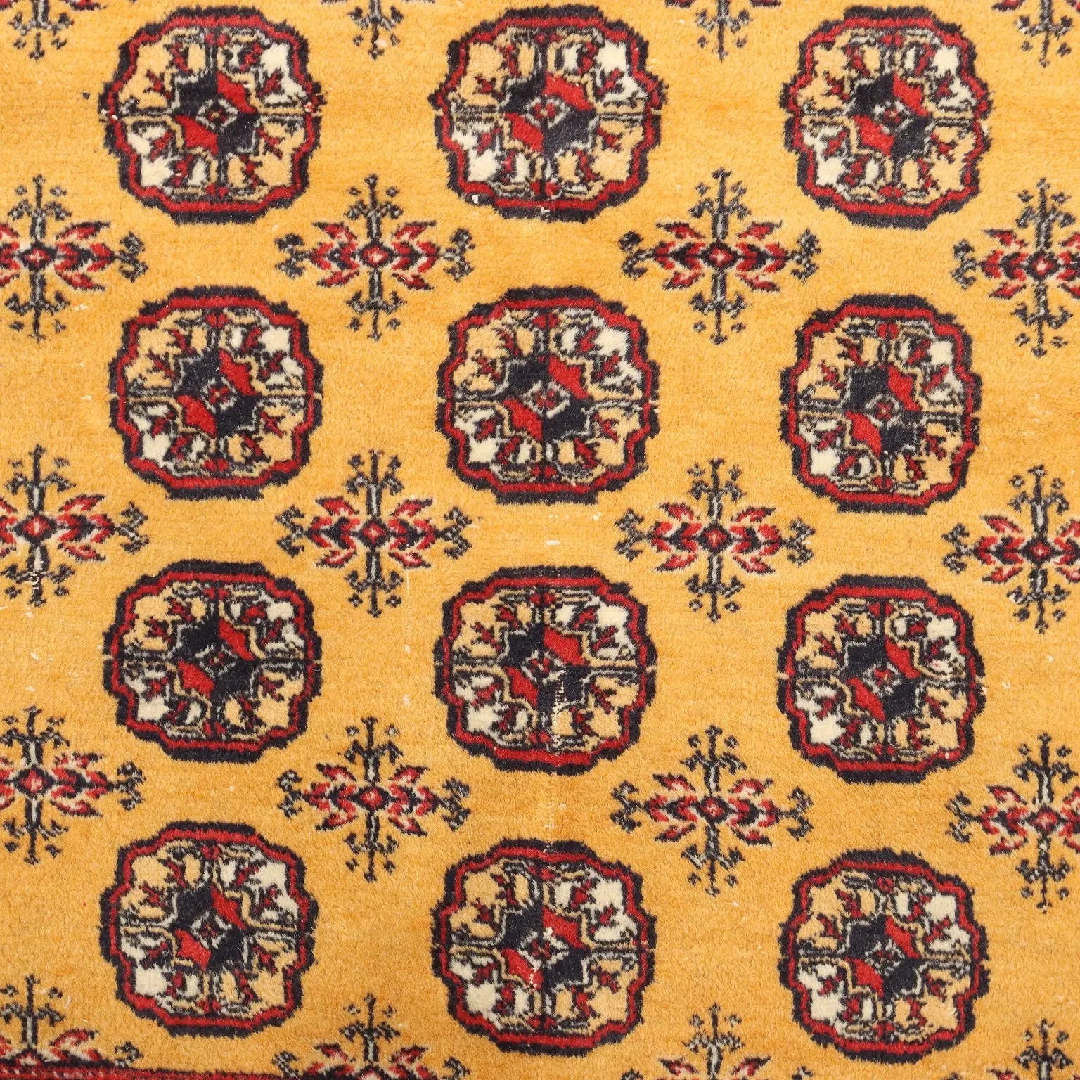 Bukhara Rug in Cotton and Wool - 280 x 187 cm