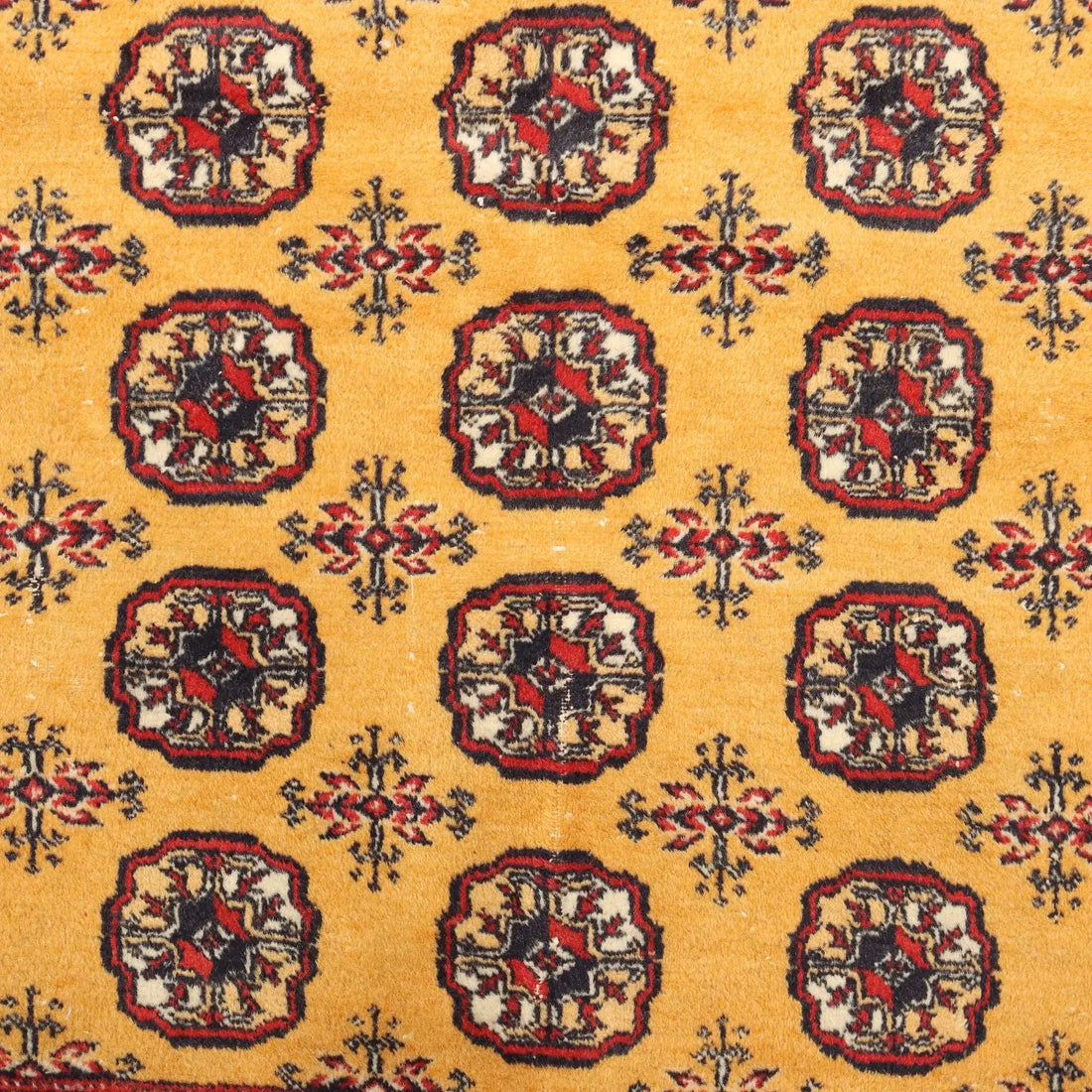Bukhara Rug in Cotton and Wool - 280 x 187 cm