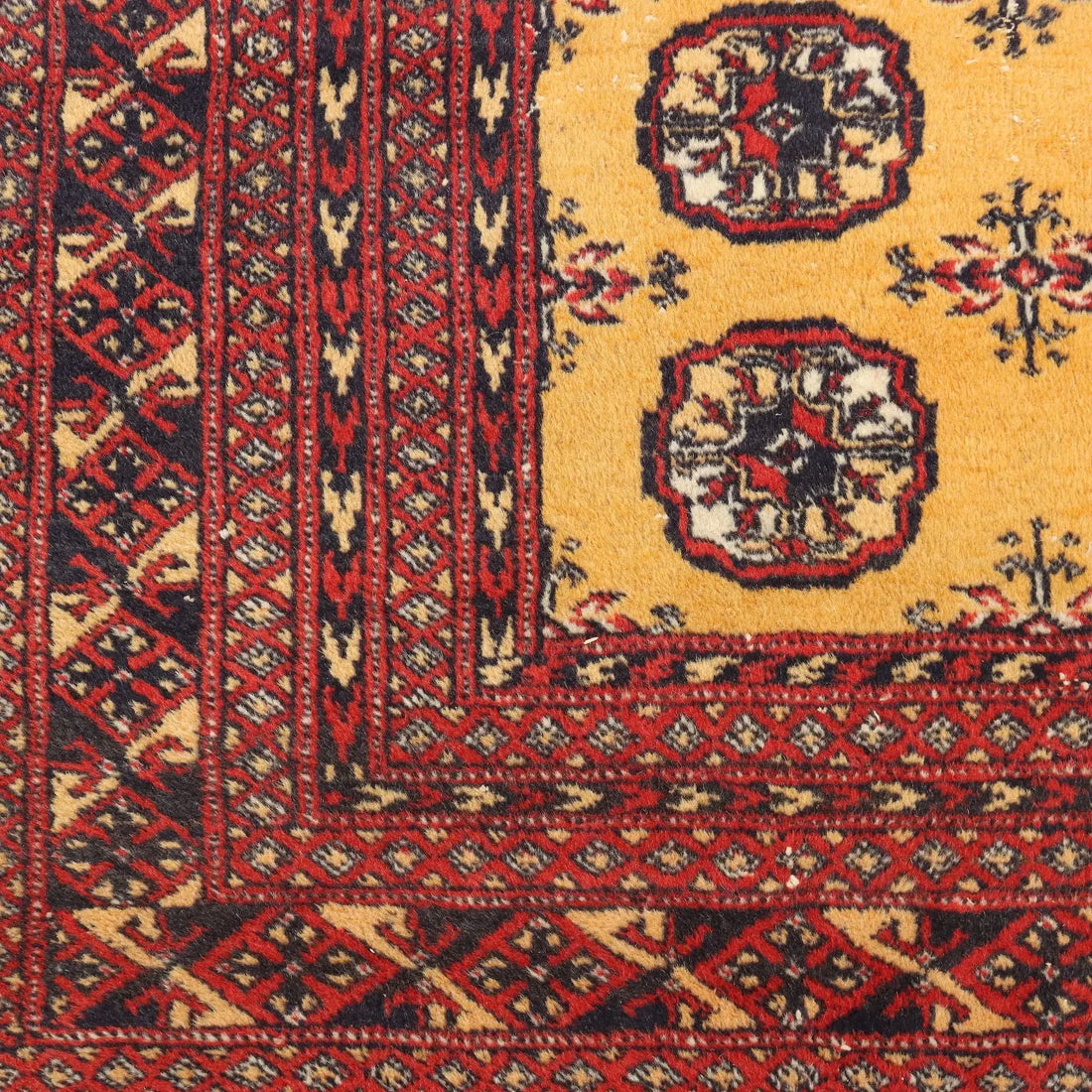 Bukhara Rug in Cotton and Wool - 280 x 187 cm