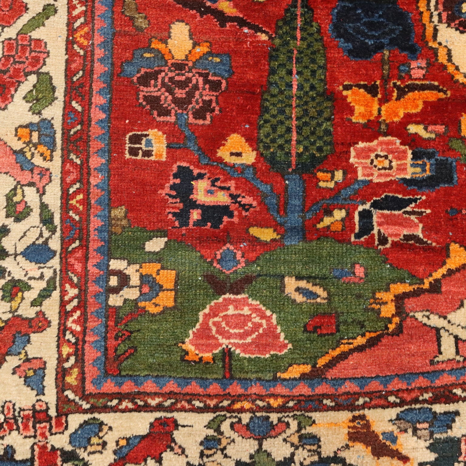 Antique Asian Carpet Cotton Wool Heavy Knot 79 x 55 In