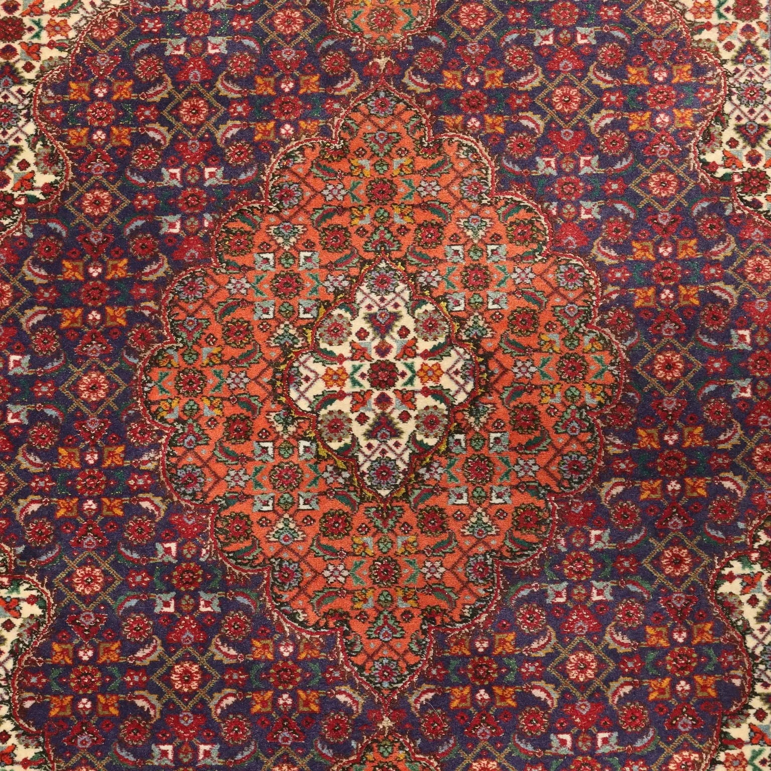 Antique Asian Carpet Cotton Wool Silk Thin Knot 57 x 39 In