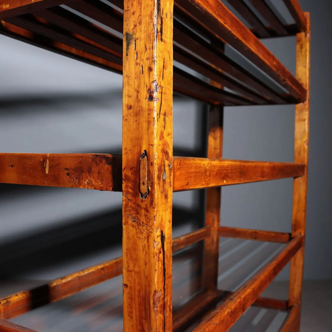 Poplar and Glass Bookshelf - Italy Early 1900s