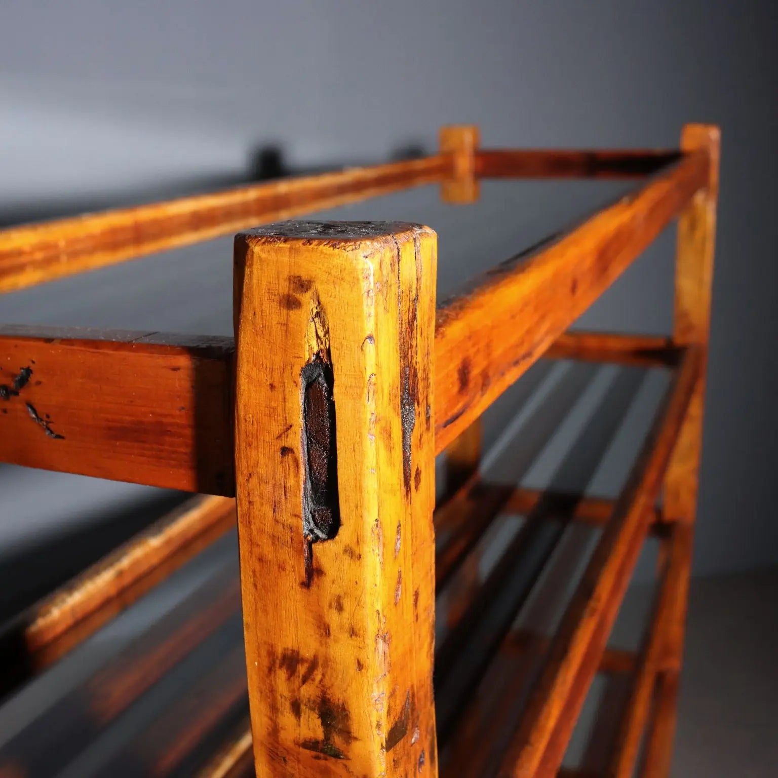 Poplar and Glass Bookshelf - Italy Early 1900s