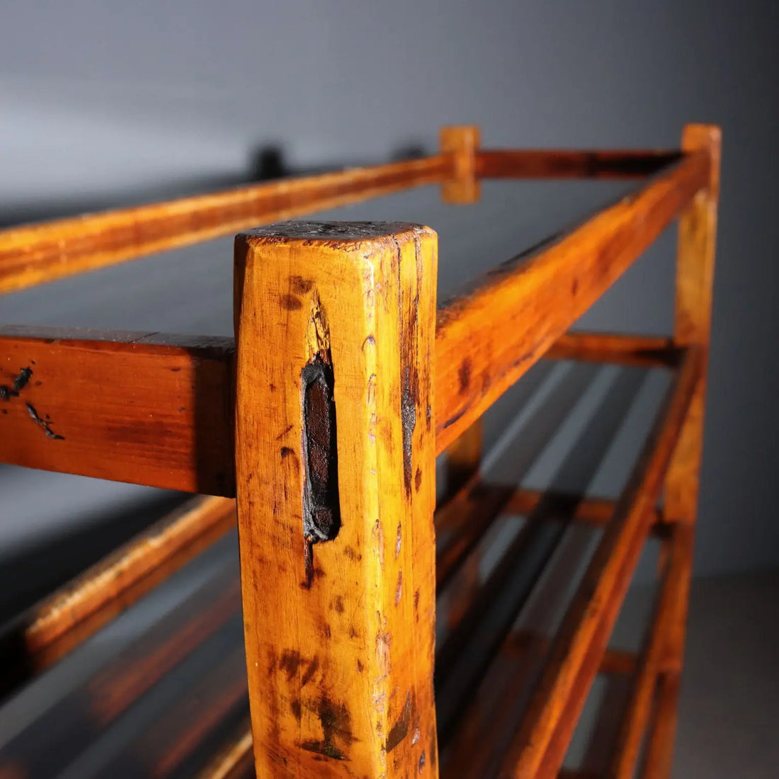 Poplar and Glass Bookshelf - Italy Early 1900s