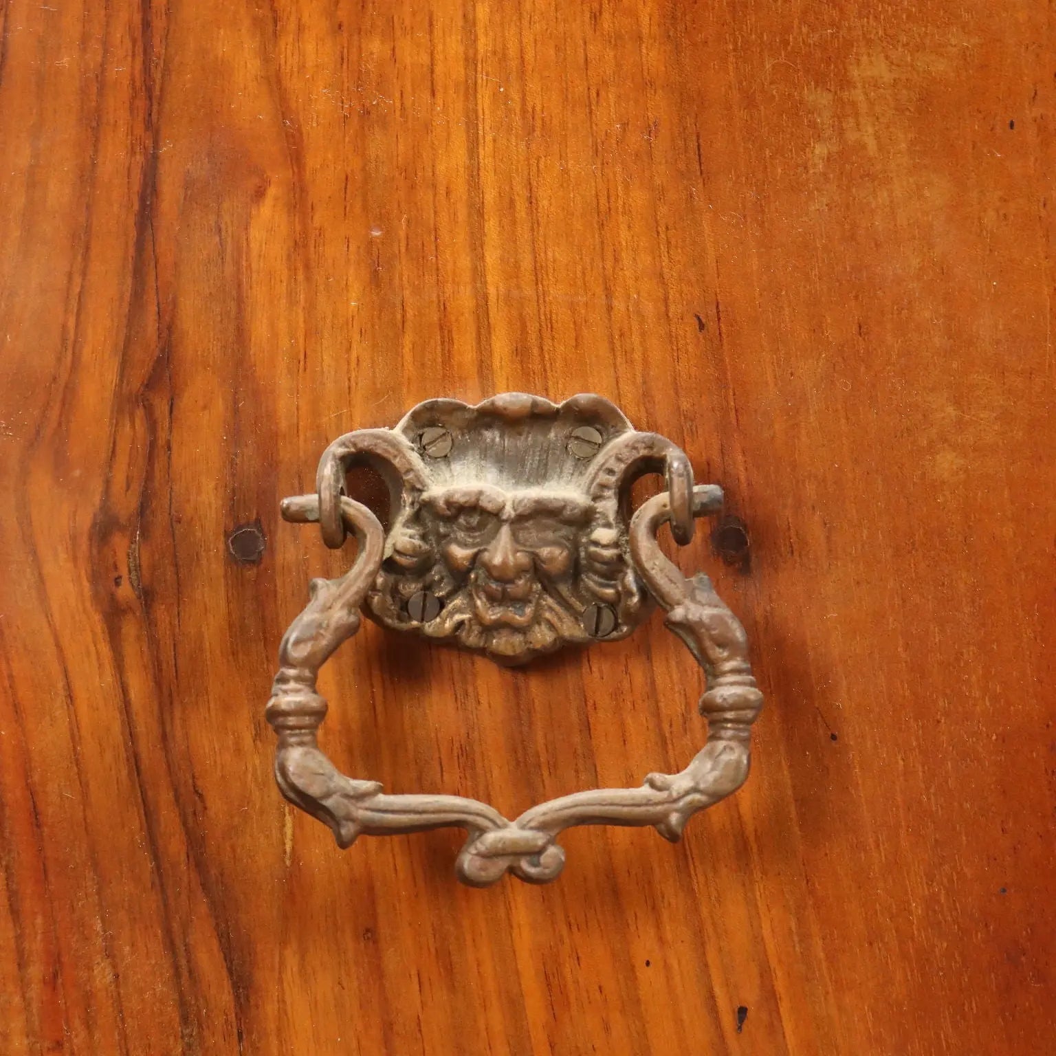 Small Antique Portable Bookcase Walnut Carvings XIX Century