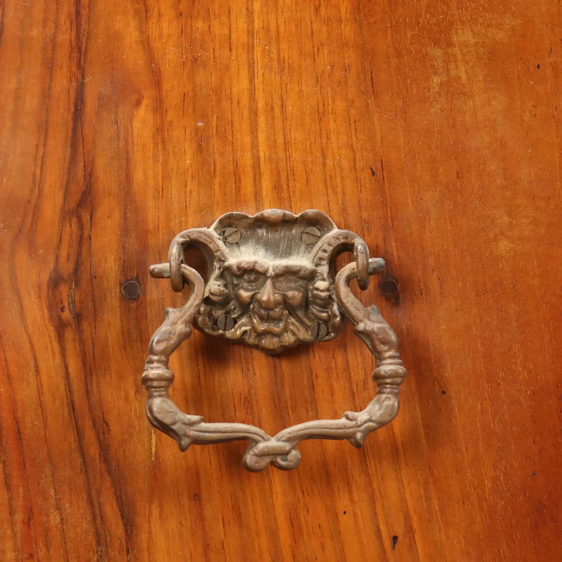 Small Antique Portable Bookcase Walnut Carvings XIX Century