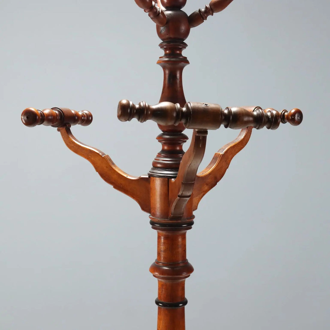Antique Hall Tree Walnut Painted Linden Italy XIX Century