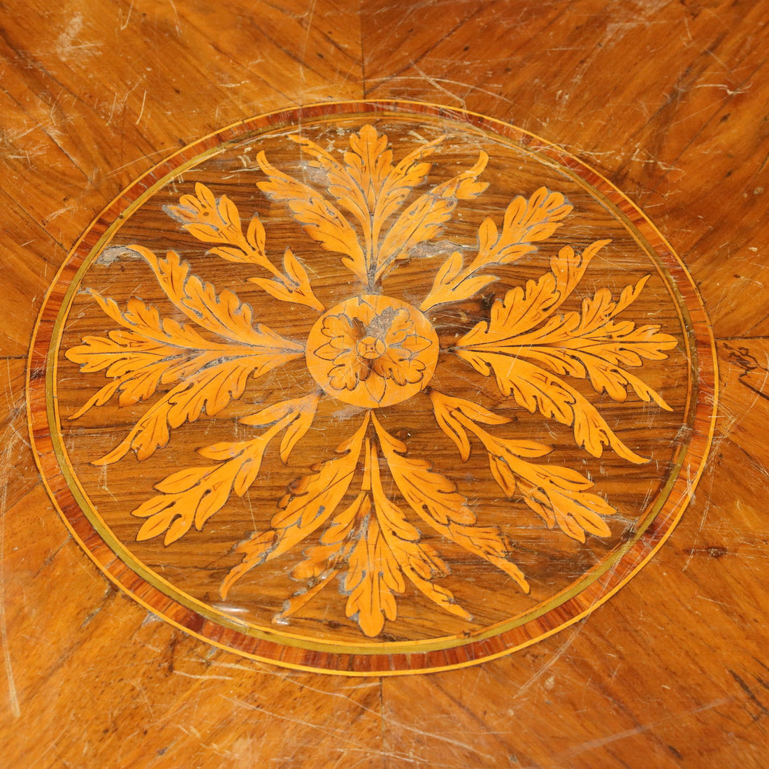  | Antiques  Chest of Drawers & Commodes