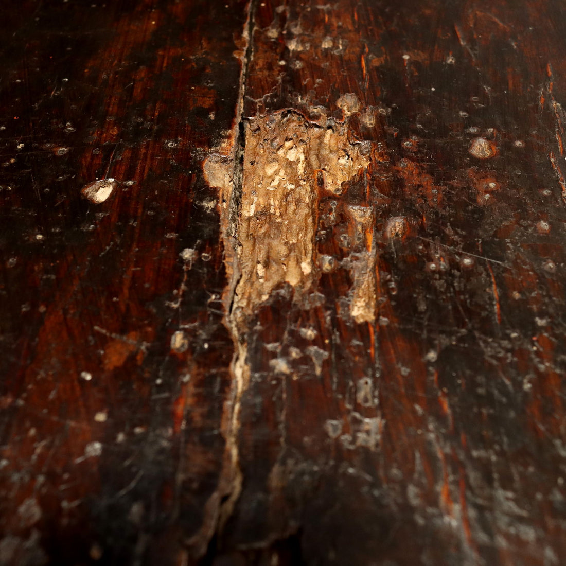  | Antiques  Cupboards