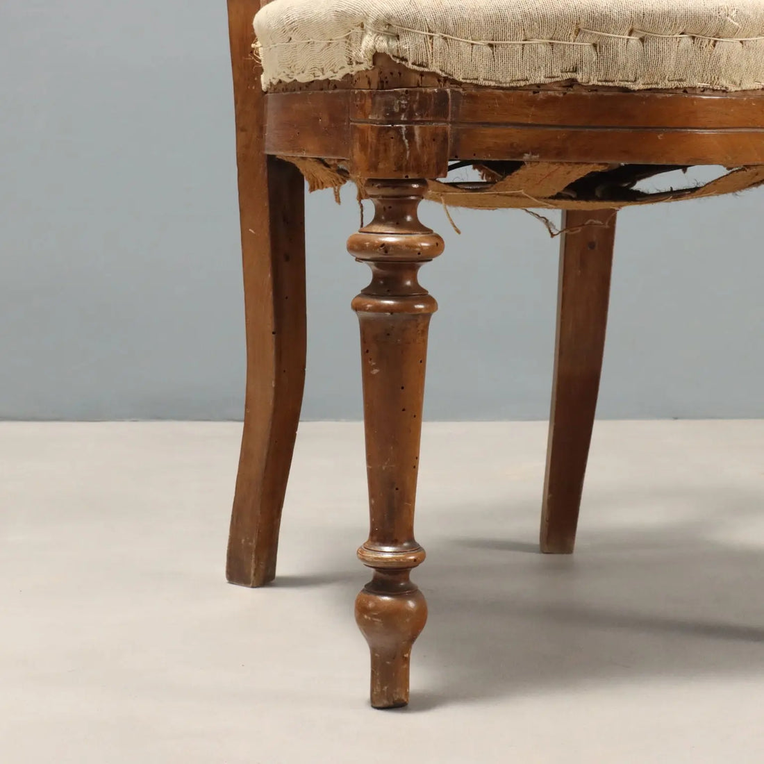 Group of Walnut Chairs - Italy Mid 19th Century