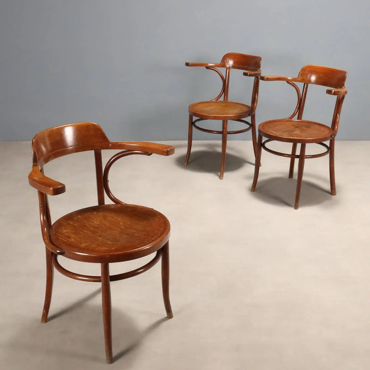 Antique Armchairs Walnut Painted Beech Austria XIX Century - Austria, Early XIX Century | Antiques  Seating