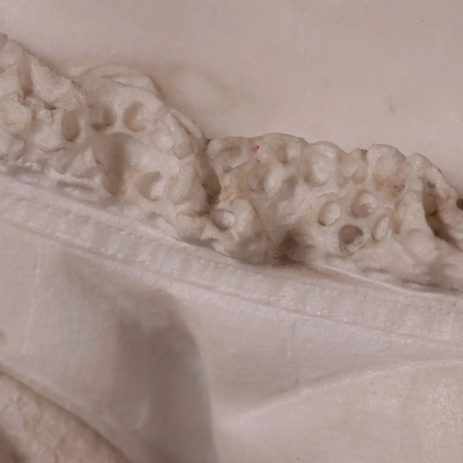 Bust Of A Woman White Carrara Marble Italy Second Half 19th Century | Art | Antique Art