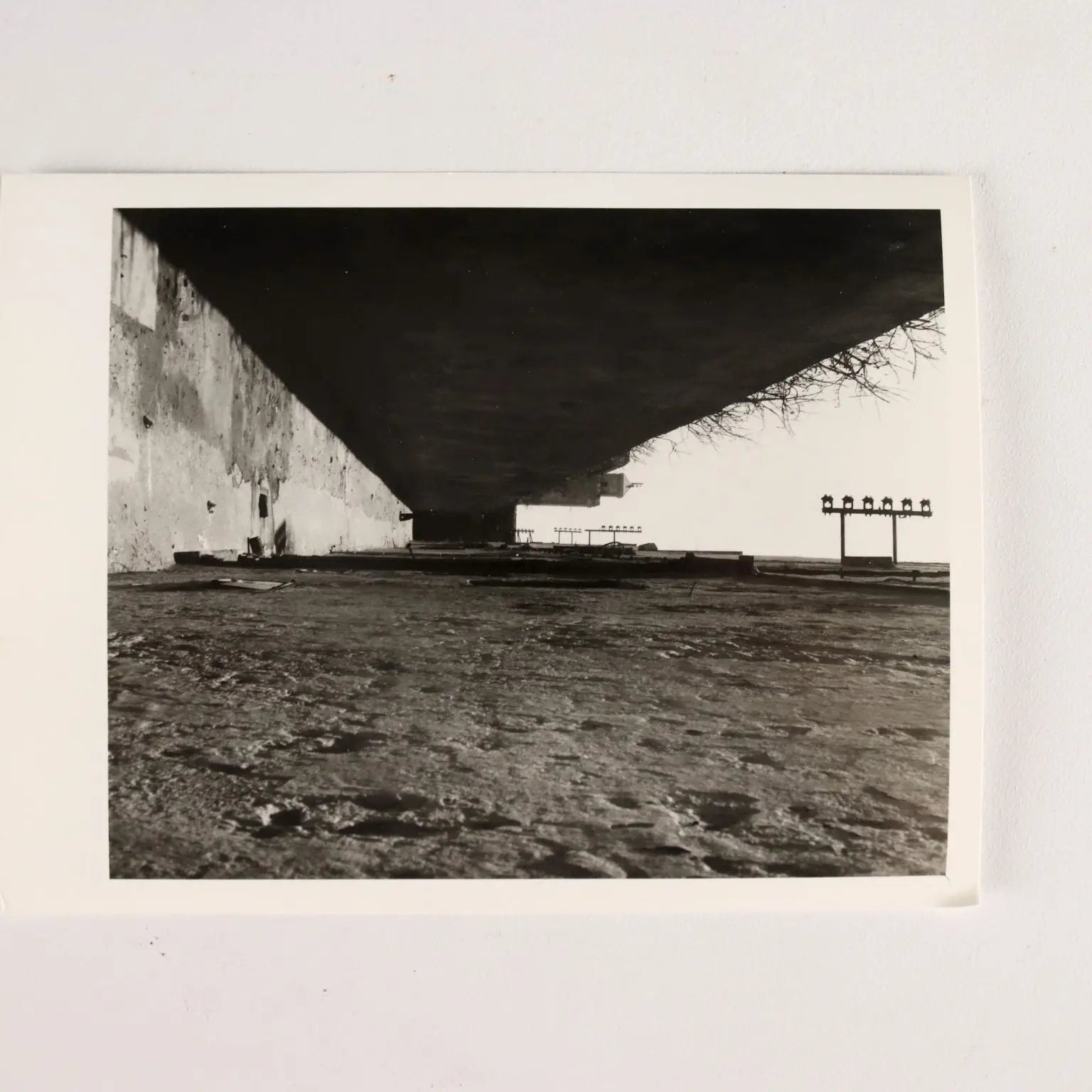 Group of Eight Photographs Vittorio Pescatori Black and White '900