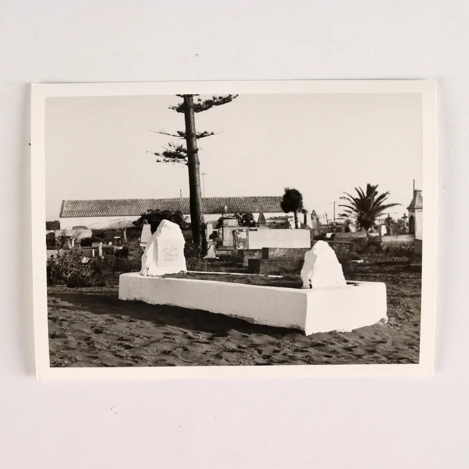 Group of Eight Photographs Vittorio Pescatori Black and White '900