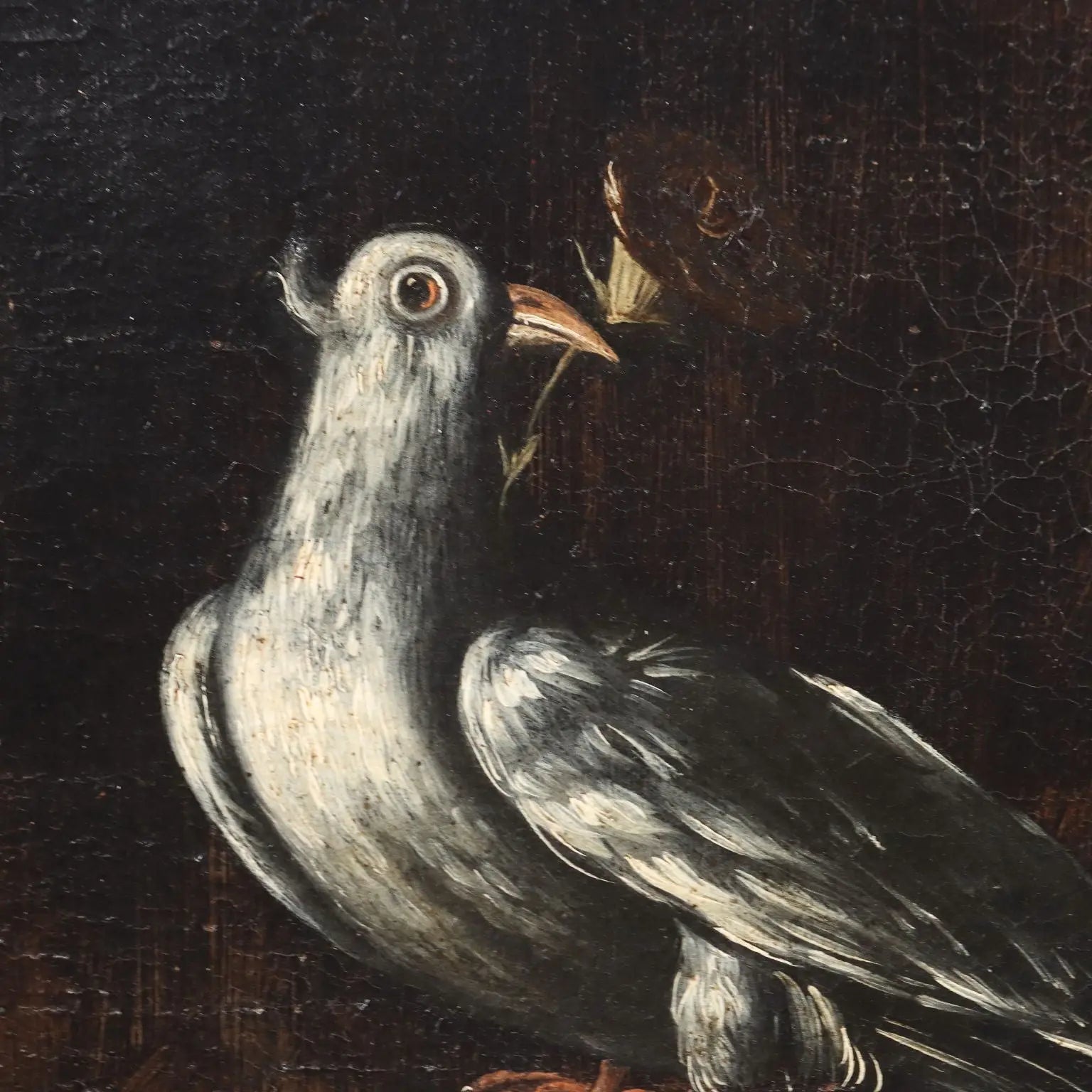 Ancient Painting Still Life with Flowers and Birds Oil on Canvas '600 | Art | Antique Painting