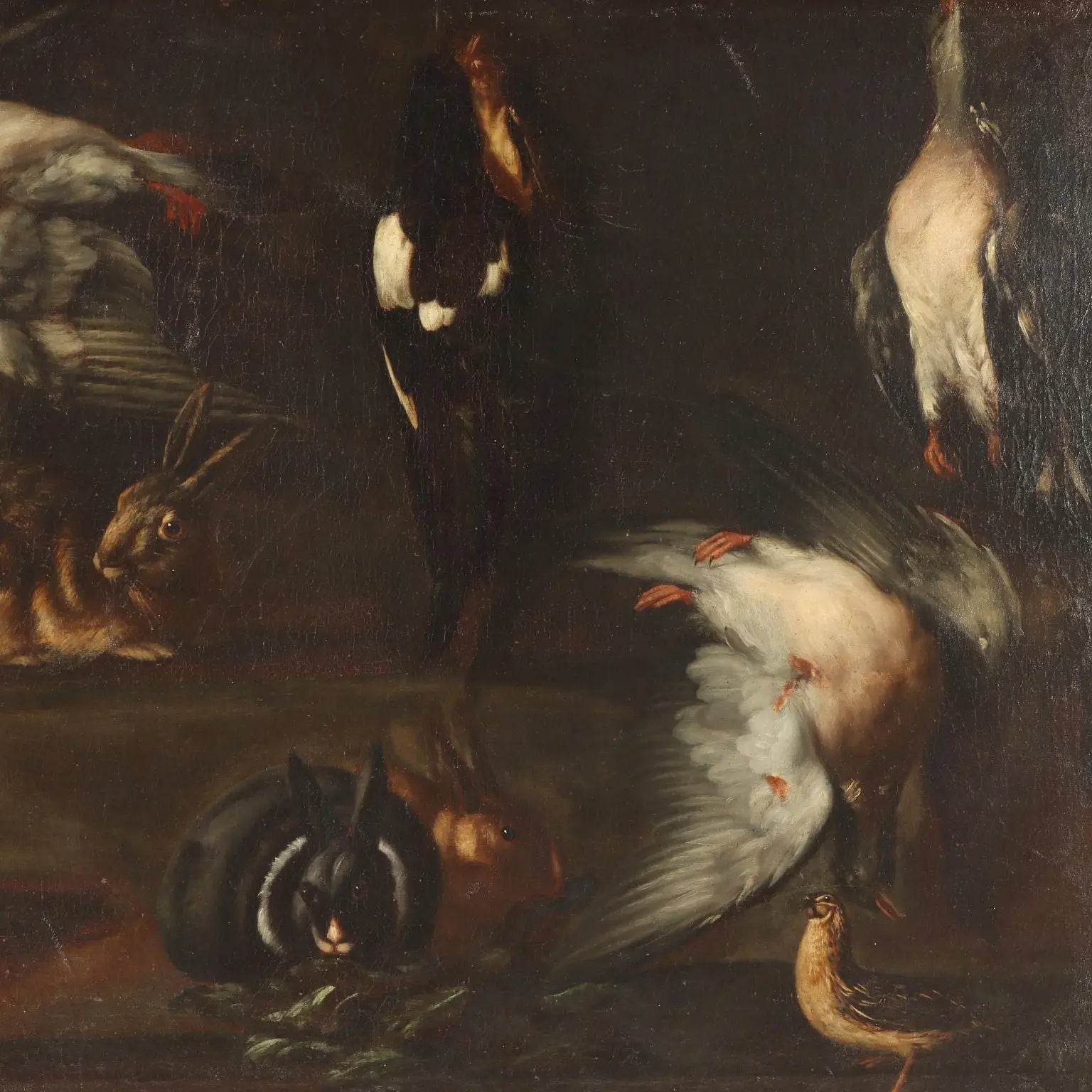 Antique Painting Rabbits and Birds with Game Oil on Canvas XVII Century